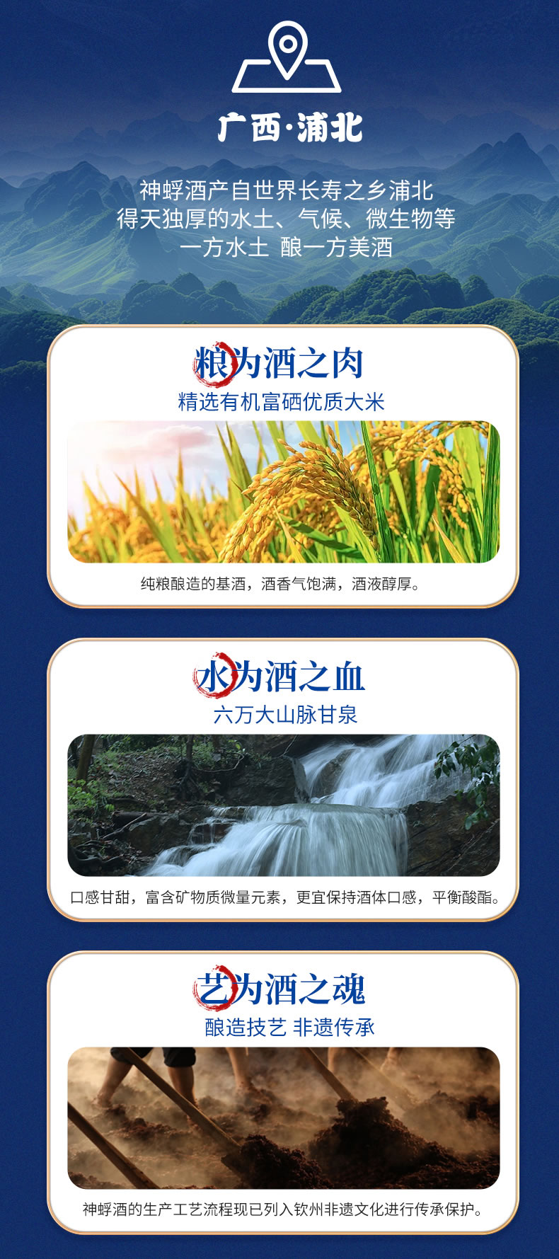 补肾款_06.jpg