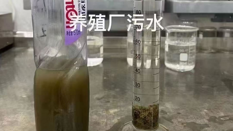养殖废水实验小试